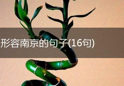 形容南京的句子(16句)
