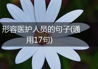 形容医护人员的句子(通用17句)