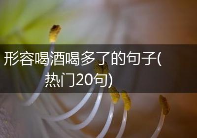 形容喝酒喝多了的句子(热门20句)