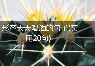形容天天喝酒的句子(实用20句)