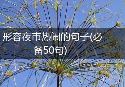 形容夜市热闹的句子(必备50句)