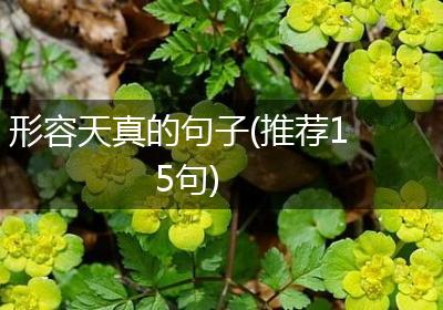 形容天真的句子(推荐15句)