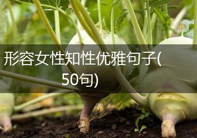 形容女性知性优雅句子(50句)