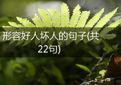 形容好人坏人的句子(共22句)