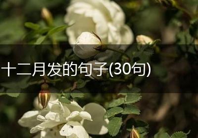 十二月发的句子(30句)
