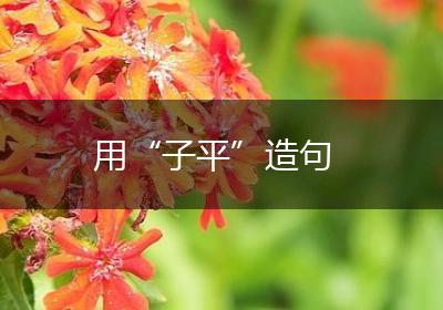 用“子平”造句