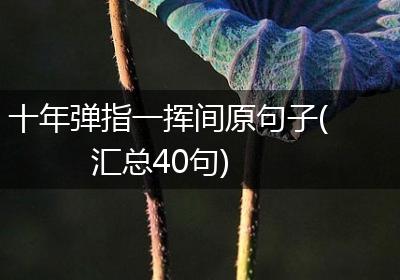 十年弹指一挥间原句子(汇总40句)