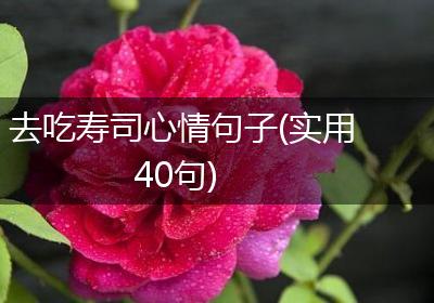 去吃寿司心情句子(实用40句)