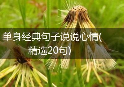 单身经典句子说说心情(精选20句)