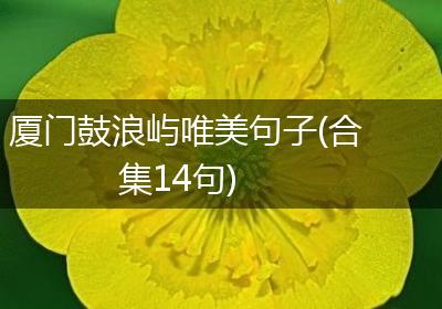 厦门鼓浪屿唯美句子(合集14句)