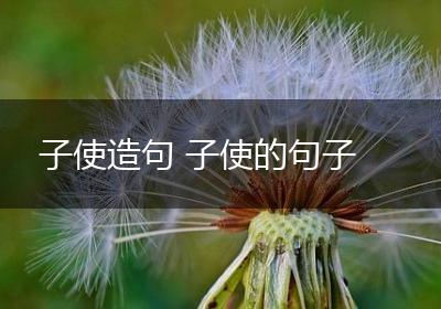 子使造句 子使的句子