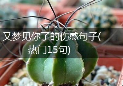 又梦见你了的伤感句子(热门15句)