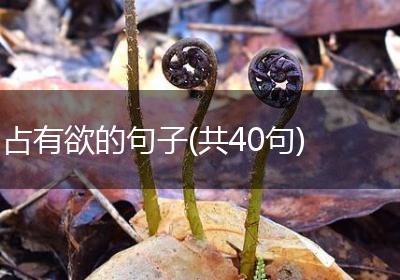 占有欲的句子(共40句)