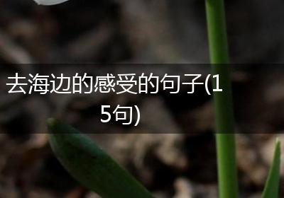 去海边的感受的句子(15句)