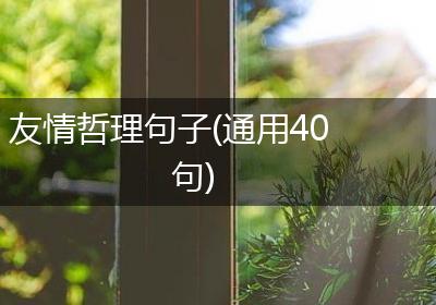 友情哲理句子(通用40句)