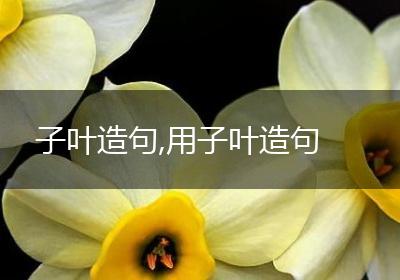子叶造句,用子叶造句