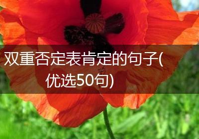 双重否定表肯定的句子(优选50句)