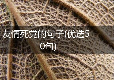 友情死党的句子(优选50句)