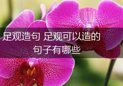 足观造句 足观可以造的句子有哪些