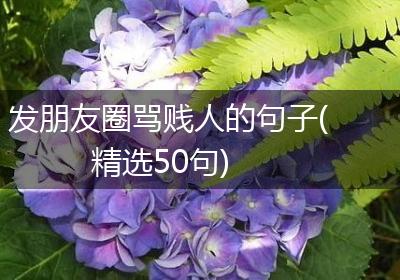 发朋友圈骂贱人的句子(精选50句)