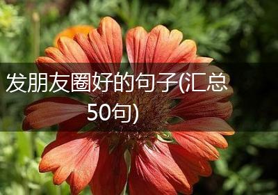 发朋友圈好的句子(汇总50句)