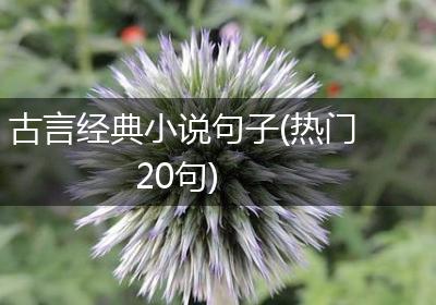 古言经典小说句子(热门20句)