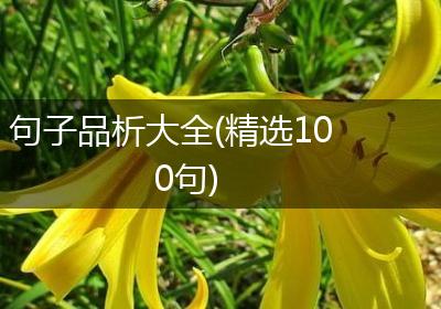 句子品析大全(精选100句)