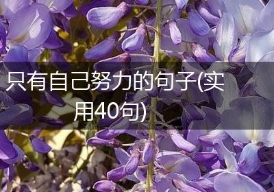 只有自己努力的句子(实用40句)
