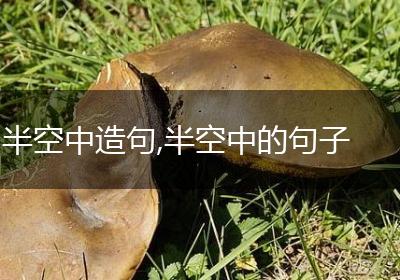 半空中造句,半空中的句子