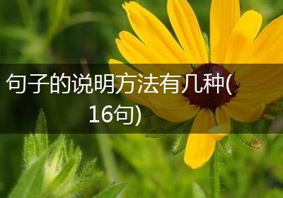 句子的说明方法有几种(16句)