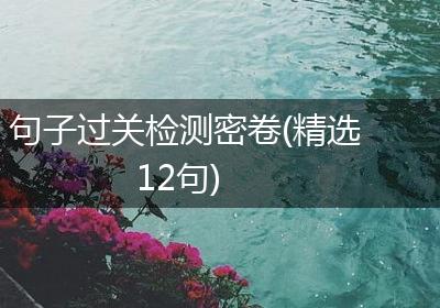 句子过关检测密卷(精选12句)