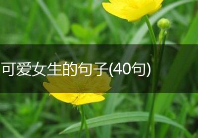 可爱女生的句子(40句)