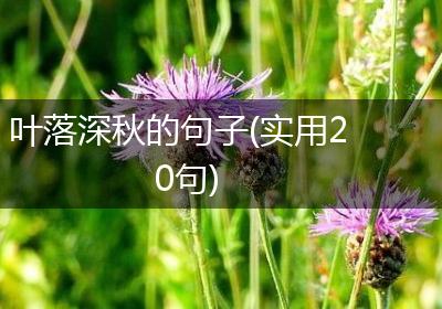 叶落深秋的句子(实用20句)