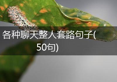 各种聊天整人套路句子(50句)