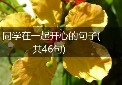 同学在一起开心的句子(共46句)