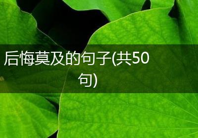后悔莫及的句子(共50句)