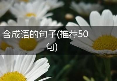 含成语的句子(推荐50句)