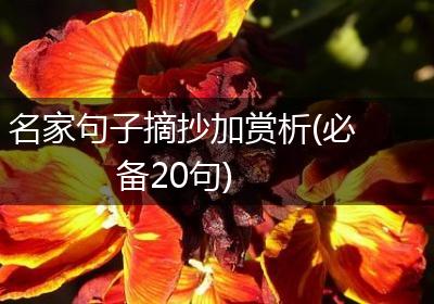 名家句子摘抄加赏析(必备20句)