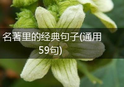 名著里的经典句子(通用59句)