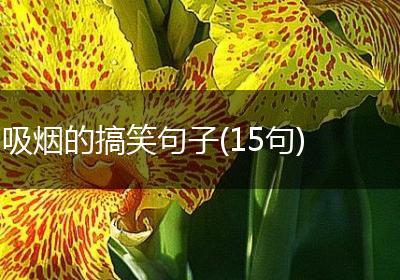 吸烟的搞笑句子(15句)