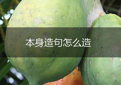 本身造句怎么造