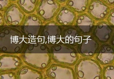 博大造句,博大的句子