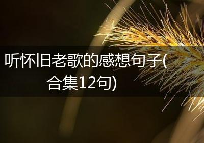 听怀旧老歌的感想句子(合集12句)
