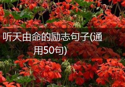 听天由命的励志句子(通用50句)