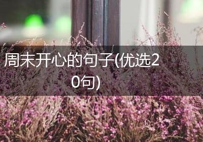 周末开心的句子(优选20句)