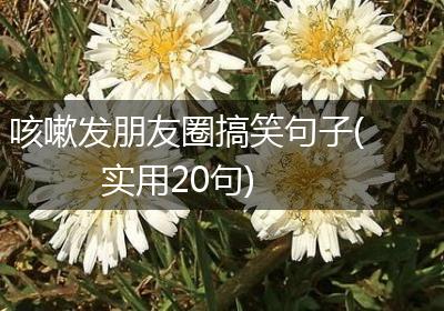 咳嗽发朋友圈搞笑句子(实用20句)