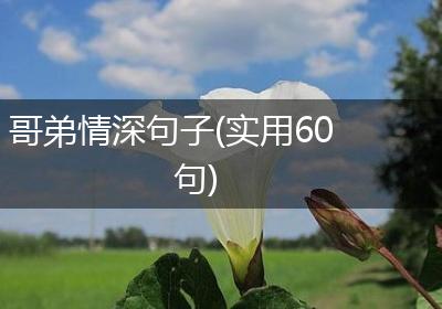 哥弟情深句子(实用60句)