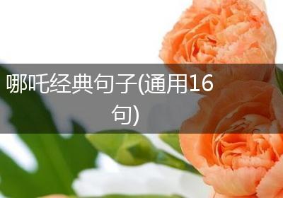 哪吒经典句子(通用16句)