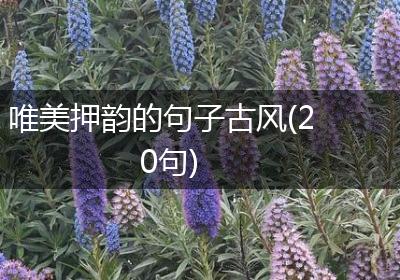 唯美押韵的句子古风(20句)