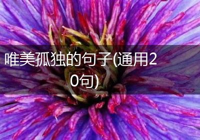 唯美孤独的句子(通用20句)